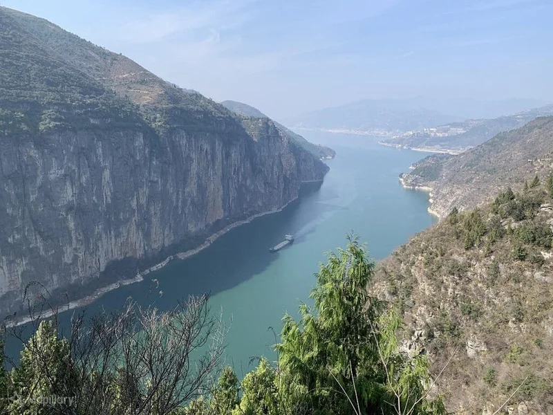 Chongqing: What's the Buzz and Why Should You Care?